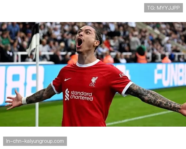 努涅斯加盟穆里尼奥传闻升温，帕切科发声助推，努涅斯集锦